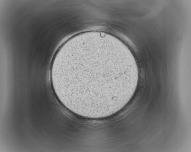 X0000111131324200908111031
