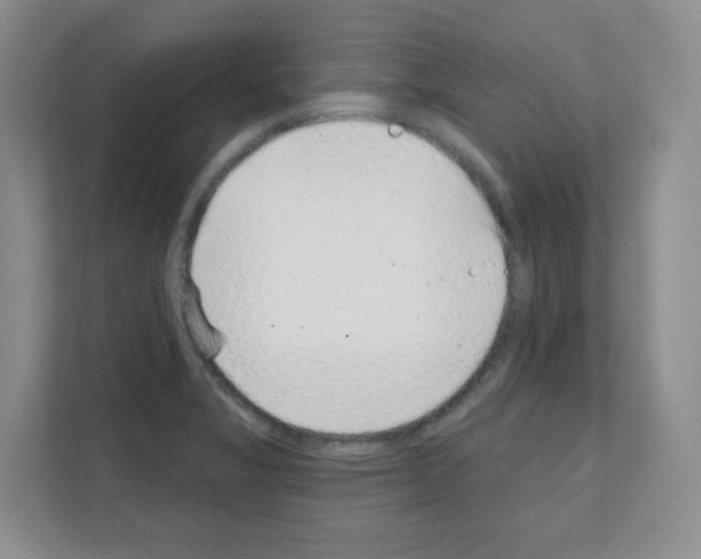 X0000111131325200908111031