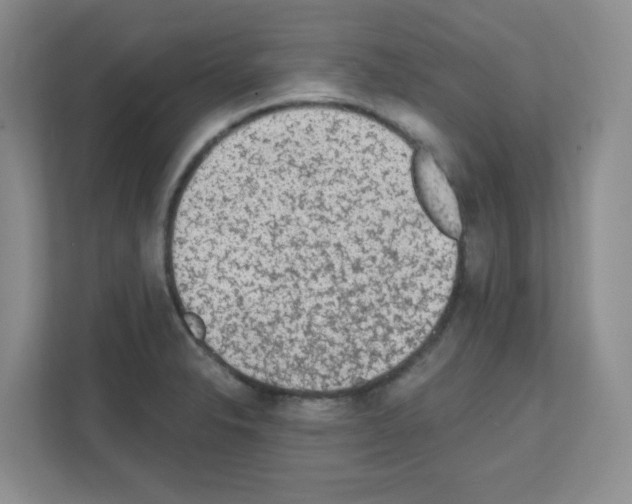 X0000111131326200908111031