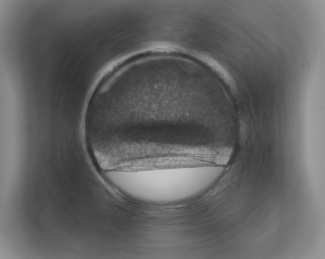 X0000111131327200908111031