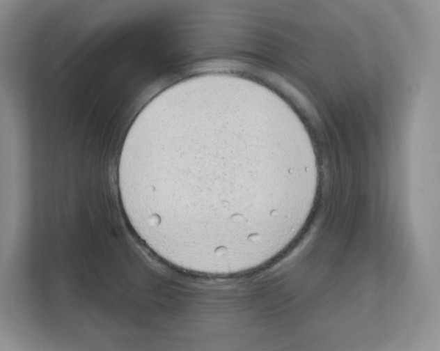 X0000111131329200908111031