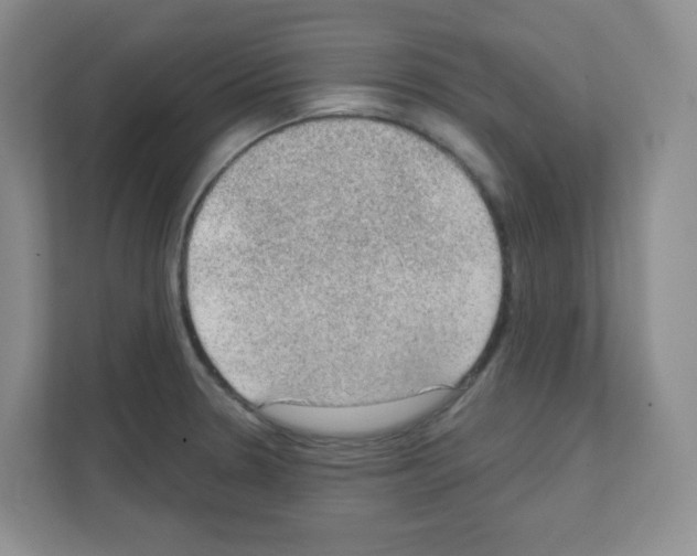 X0000111131330200908111031