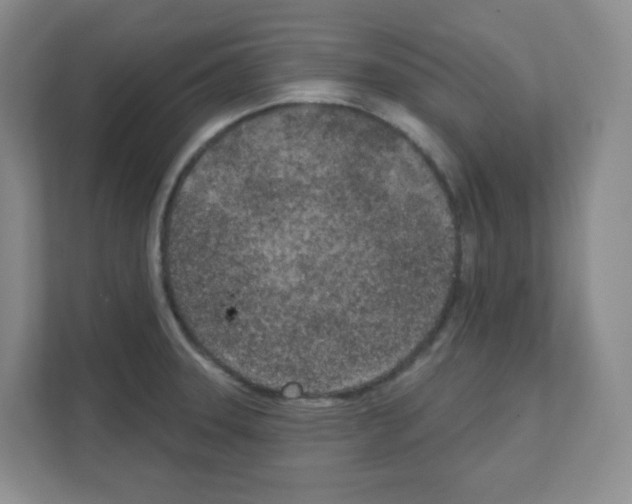 X0000111131331200908111031