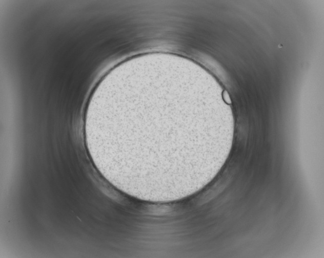 X0000111131332200908111031