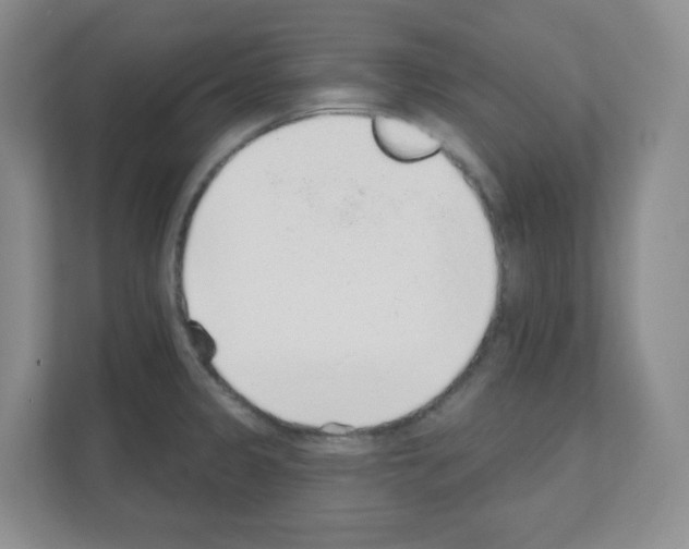 X0000111131333200908111031