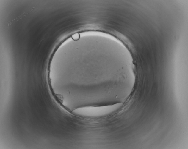 X0000111131334200908111031