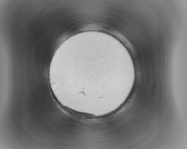 X0000111131337200908111031