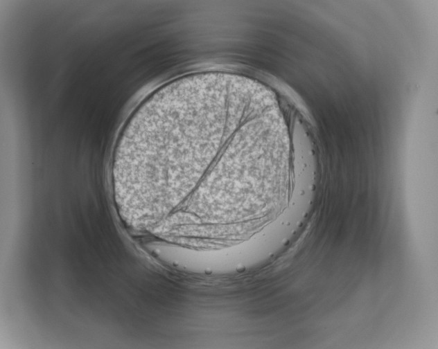 X0000111131338200908111031