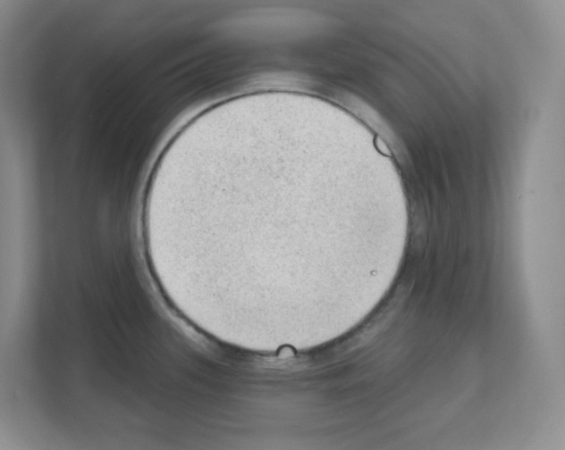 X0000111131339200908111031