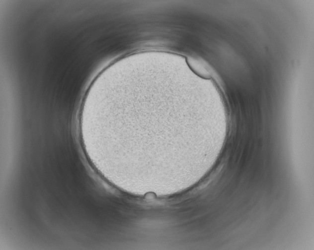 X0000111131341200908111031