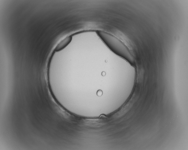 X0000111131342200908111031