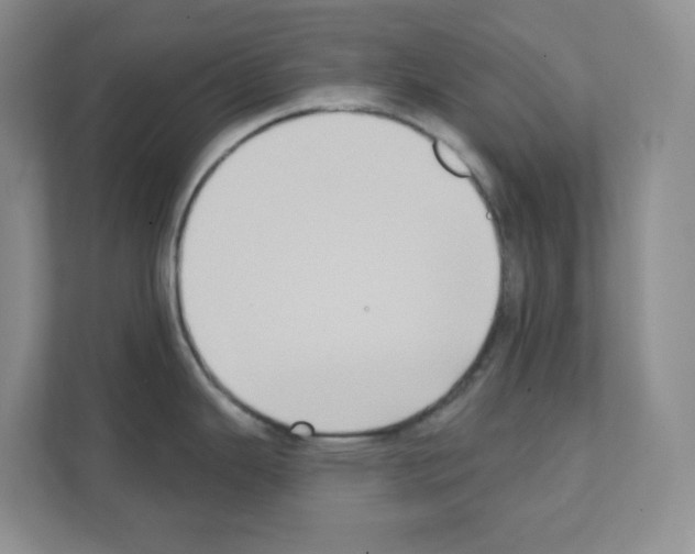 X0000111131343200908111031
