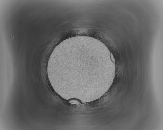 X0000111131345200908111031