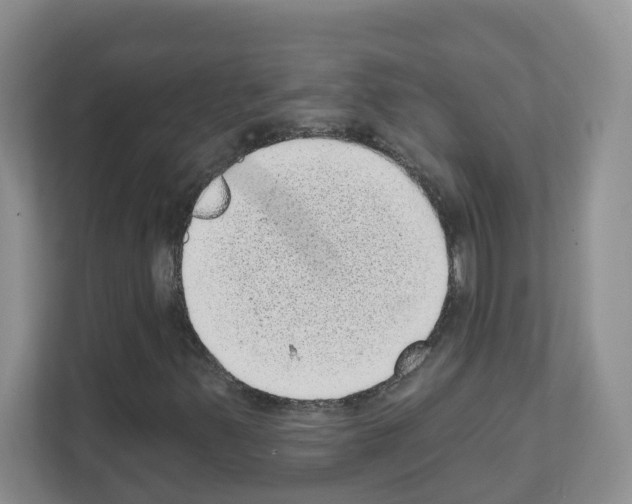 X0000111131347200908111031