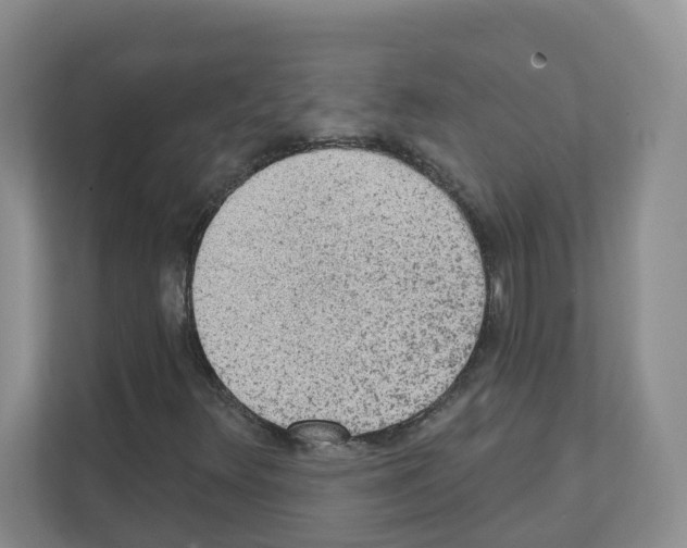 X0000111131348200908111031