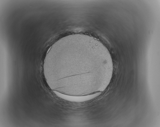 X0000111131349200908111031