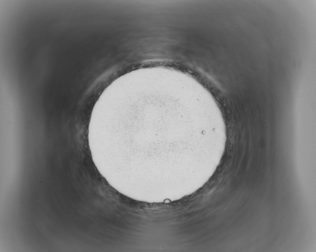X0000111131351200908111031