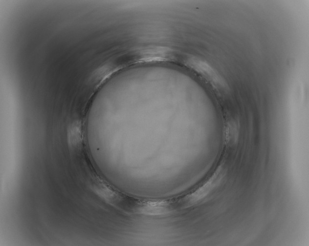 X0000111131353200908111031