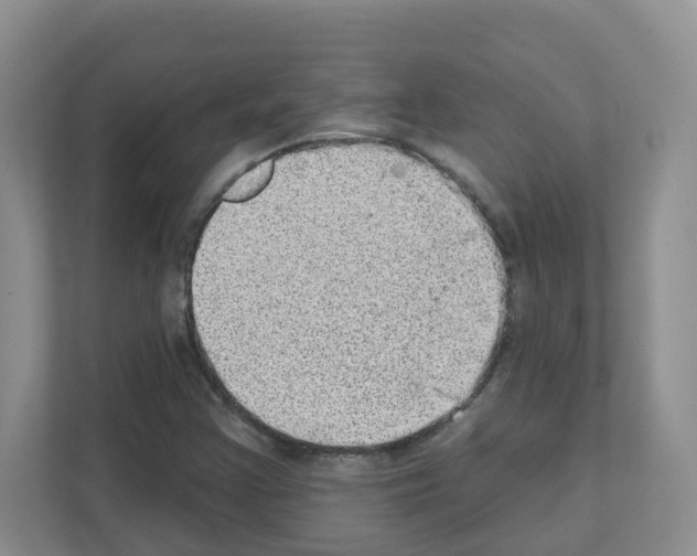 X0000111131355200908111031