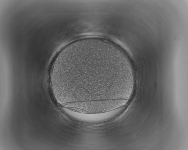 X0000111131357200908111030