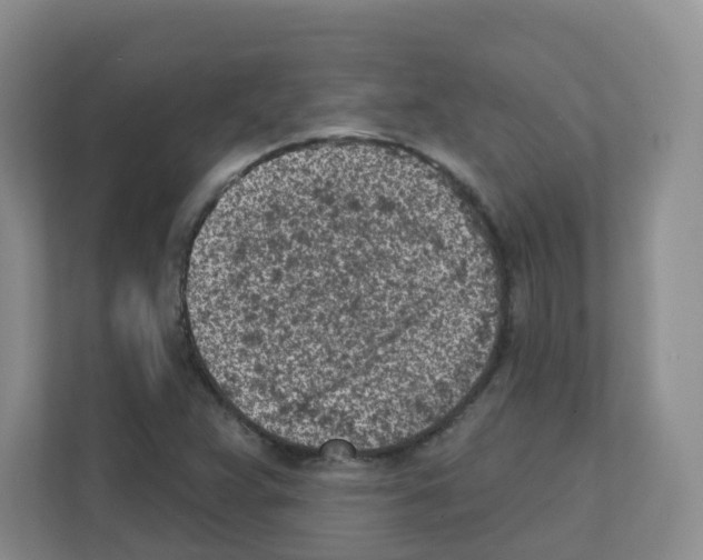 X0000111131359200908111030