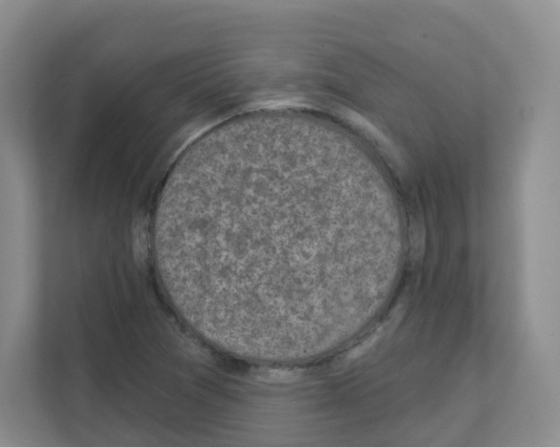 X0000111131361200908111030