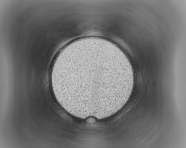X0000111131364200908111030