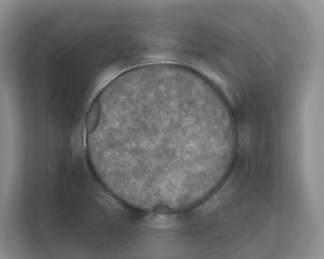 X0000111131365200908111030