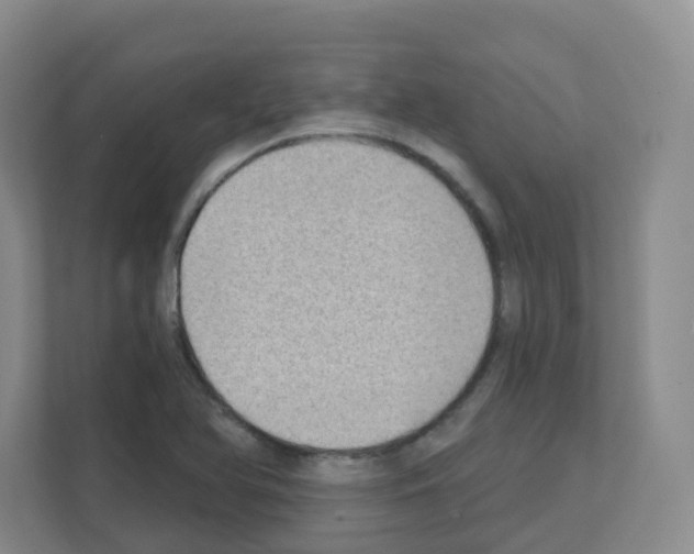 X0000111131366200908111030