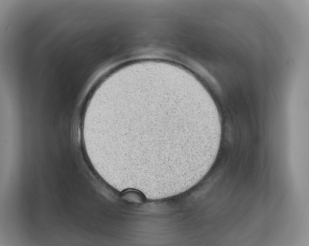 X0000111131368200908111030