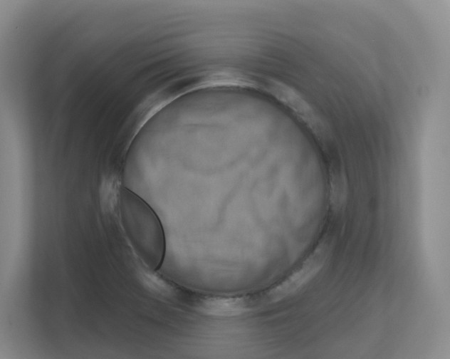 X0000111131369200908111030
