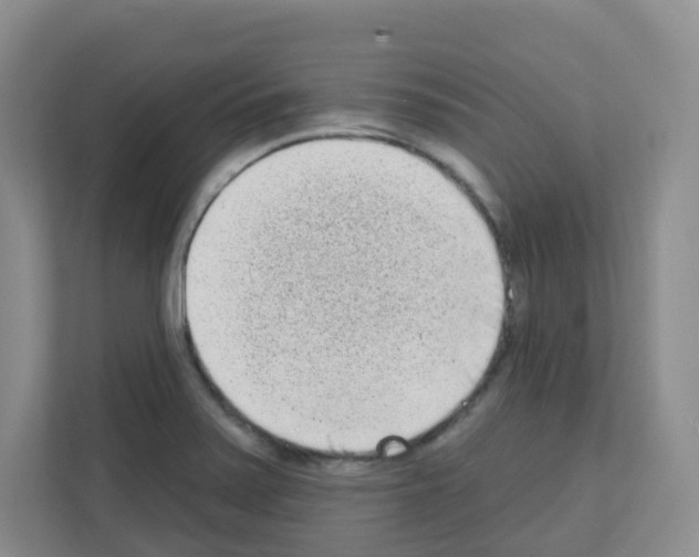 X0000111131371200908111030