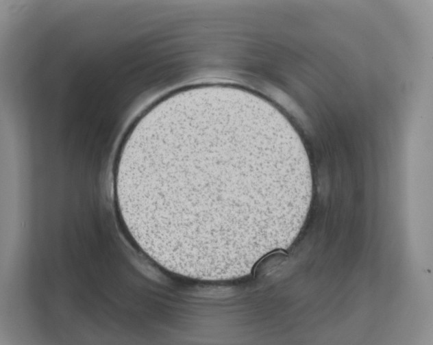 X0000111131372200908111030