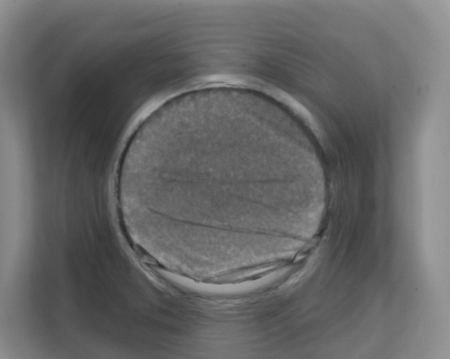 X0000111131373200908111030
