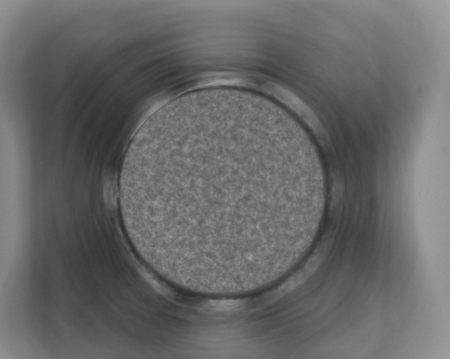 X0000111131377200908111030
