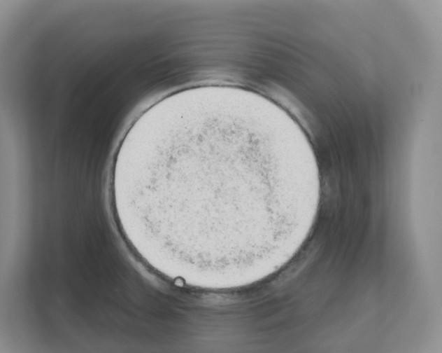 X0000111131379200908111030