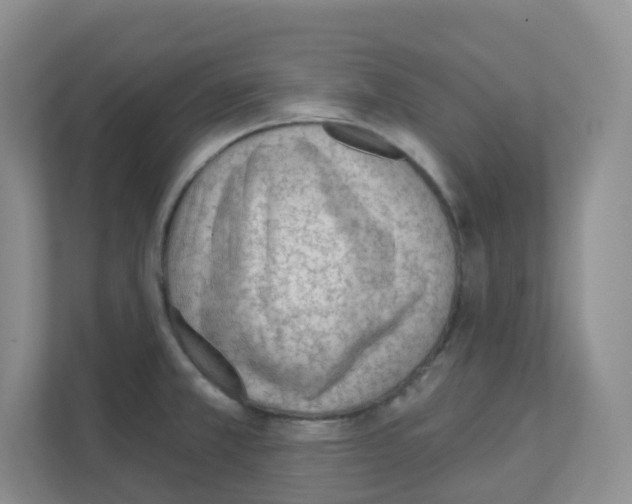 X0000111131381200908111030