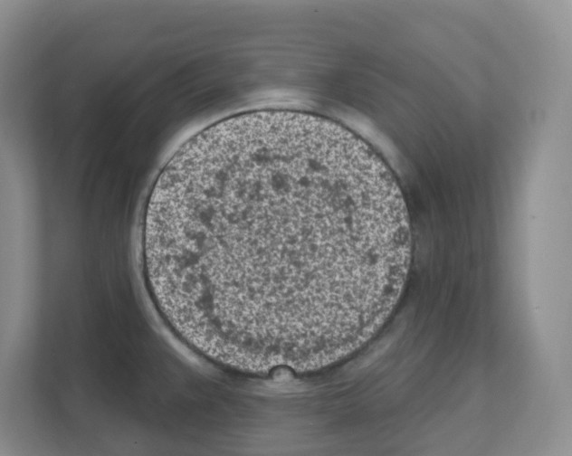 X0000111131383200908111030