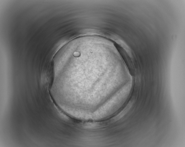 X0000111131385200908111030