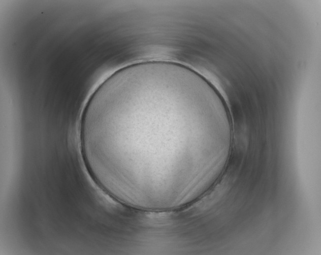 X0000111131389200908111030