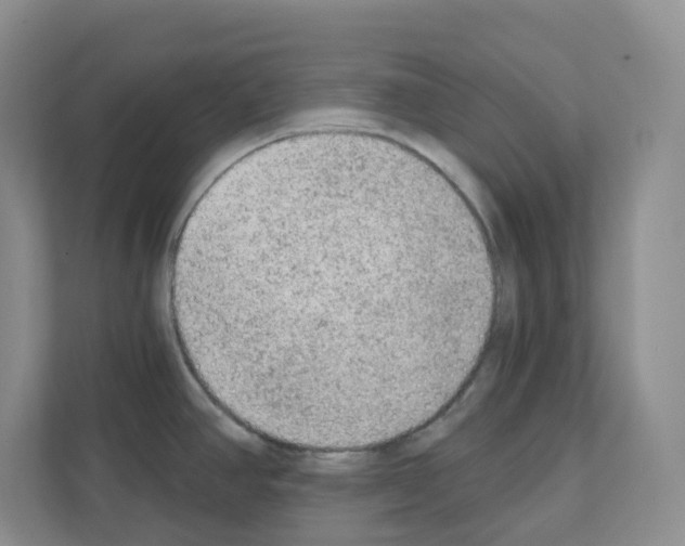 X0000111131390200908111030