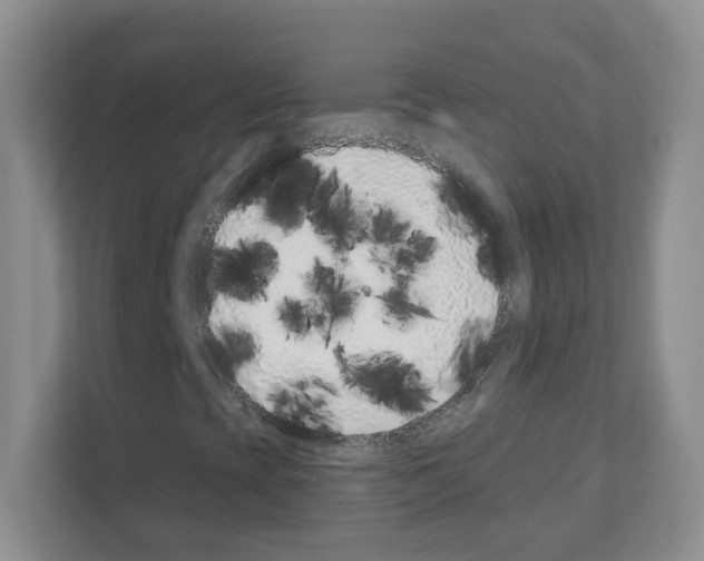 X0000111131393200908111029