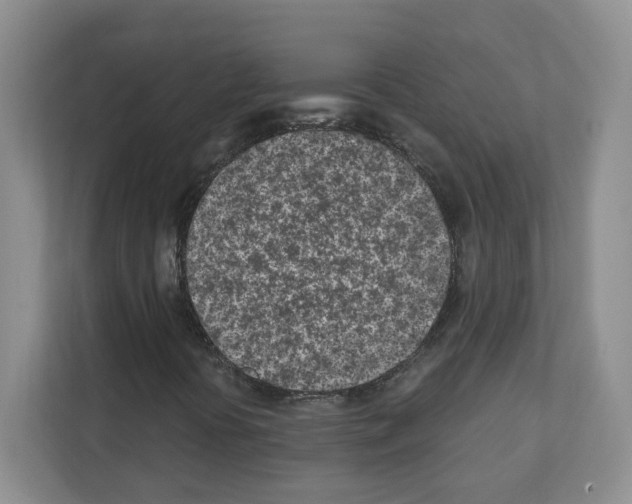 X0000111131394200908111029