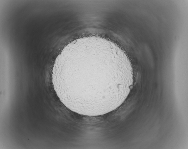 X0000111131397200908111029