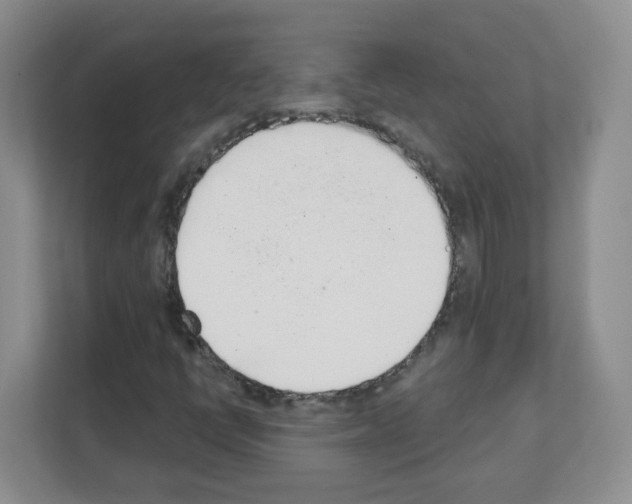 X0000111131398200908111029