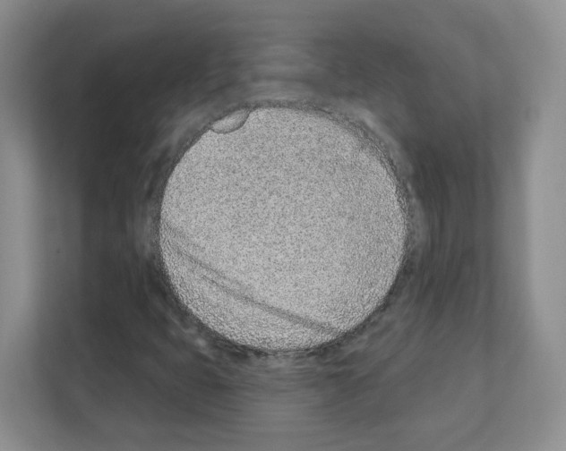 X0000111131399200908111029