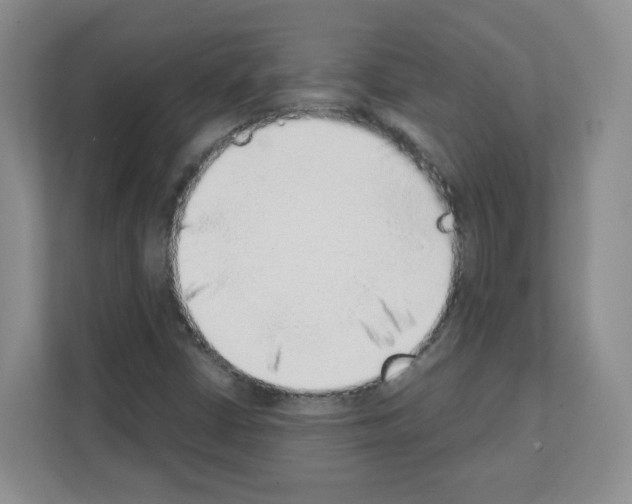 X0000111131402200908111030
