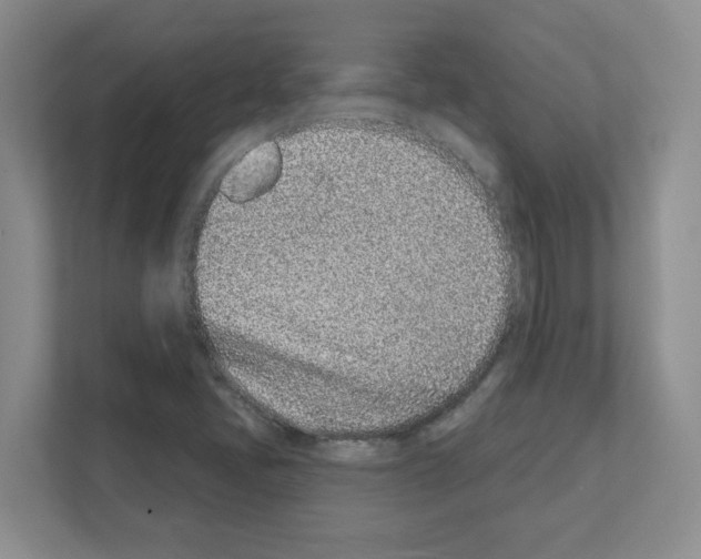 X0000111131405200908111030