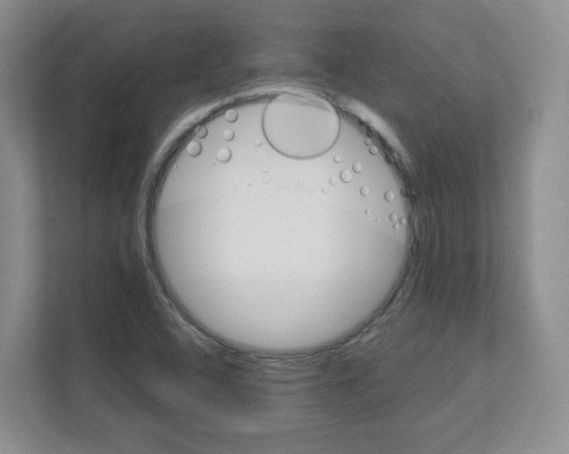 X0000111131408200908111030