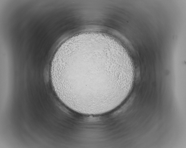 X0000111131409200908111030